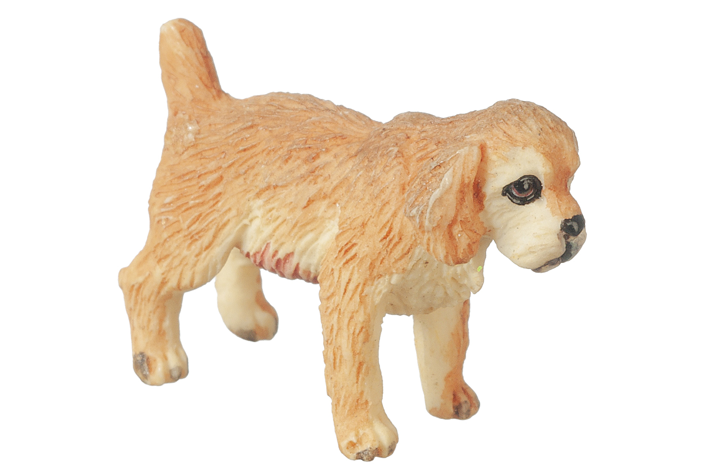 Spaniel Puppy (Buff), Standing
