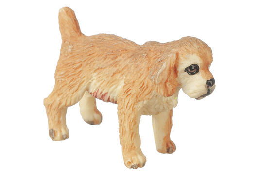 Spaniel Puppy (Buff), Standing