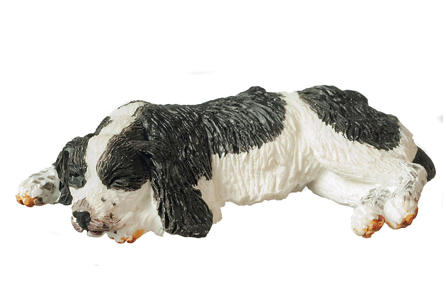English Springer Spaniel, Sleeping