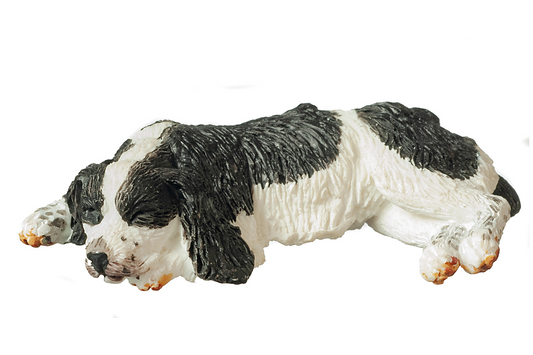 English Springer Spaniel, Sleeping
