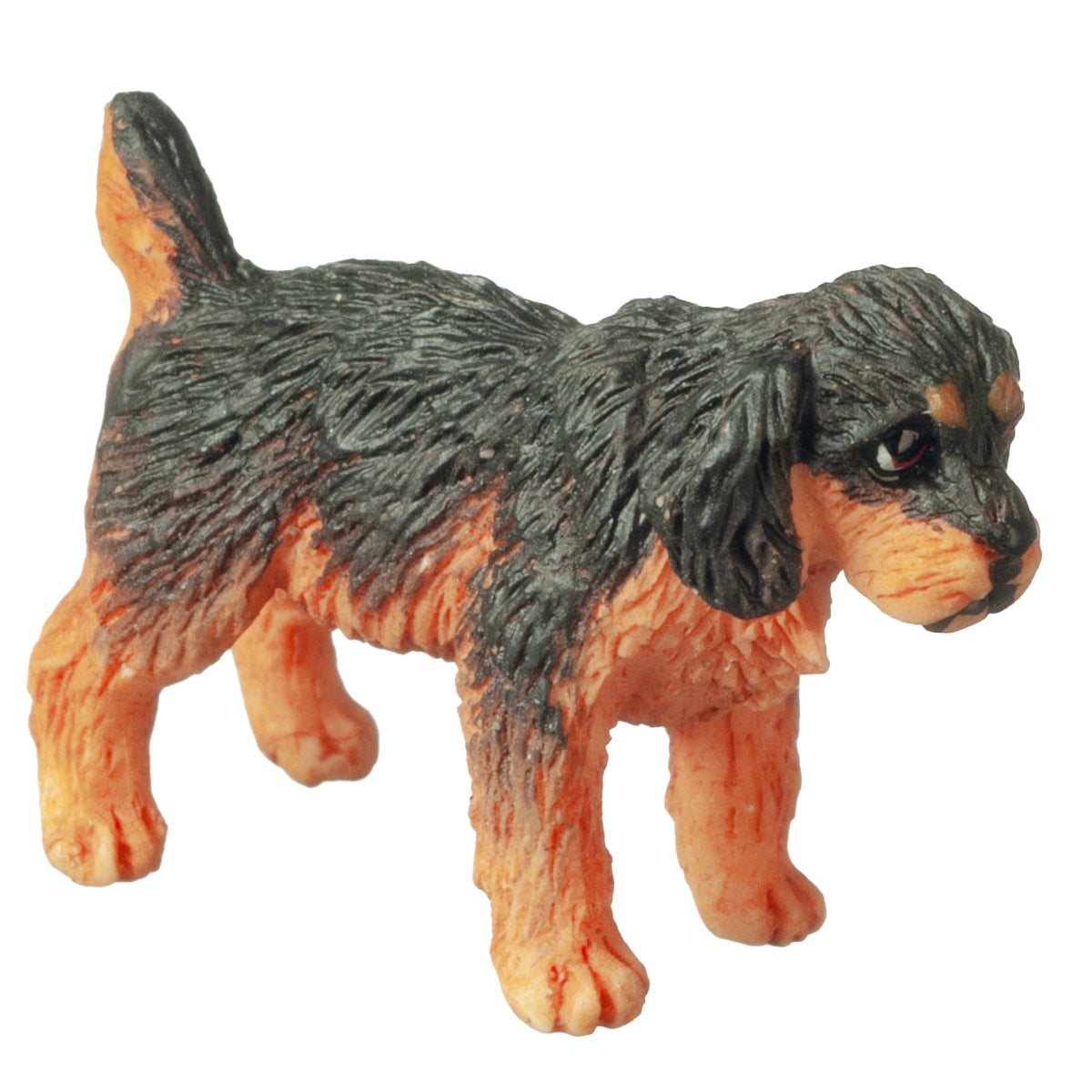 Rottweiler Puppy, Standing