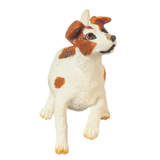 Jack Russell Terrier, Playing
