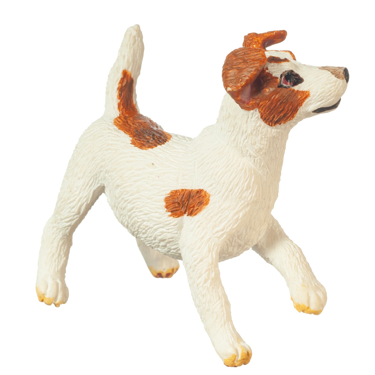 Jack Russell Terrier, Playing