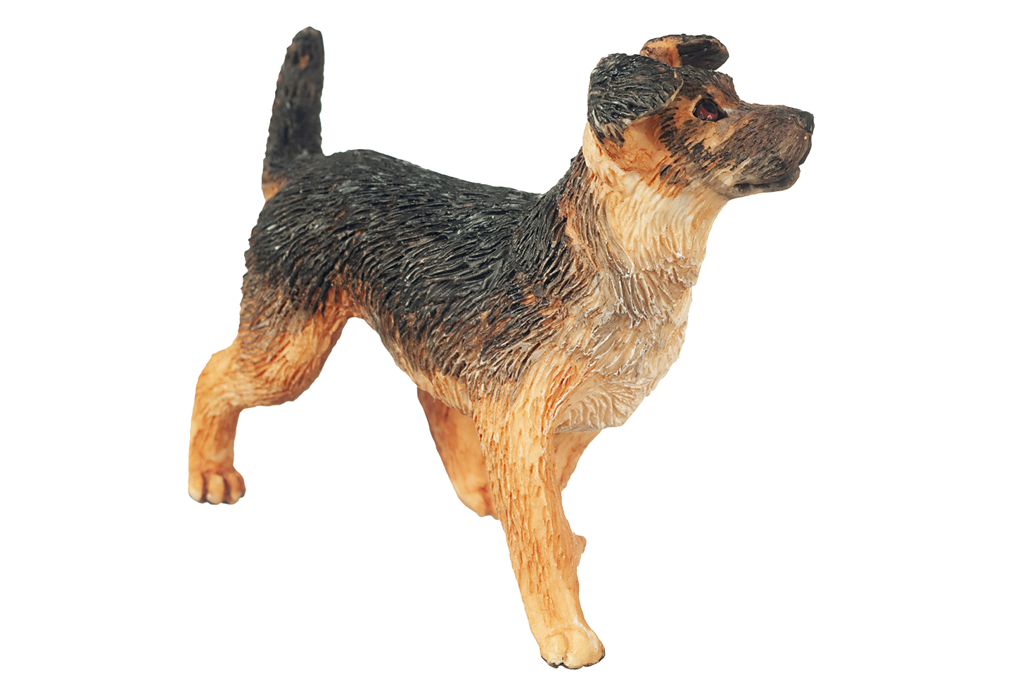 Mixed Breed Shepherd Dog, Standing