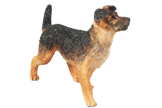 Mixed Breed Shepherd Dog, Standing