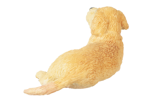 Yellow Lab Puppy, Laying