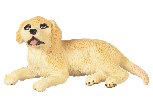 Yellow Lab Puppy, Laying