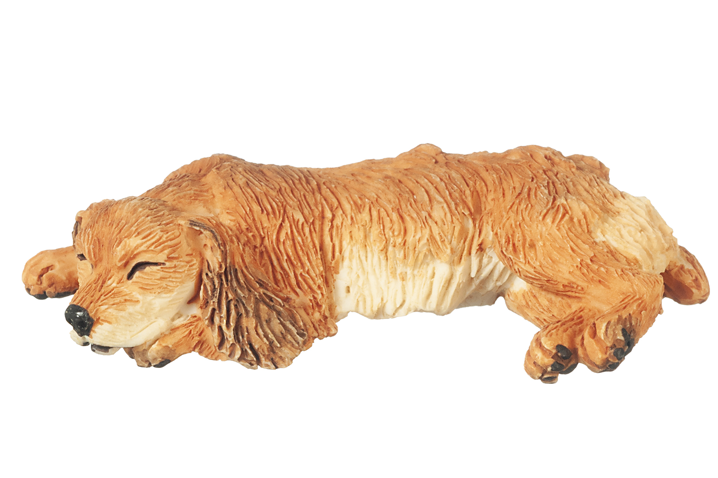 Cocker Spaniel (Buff), Sleeping