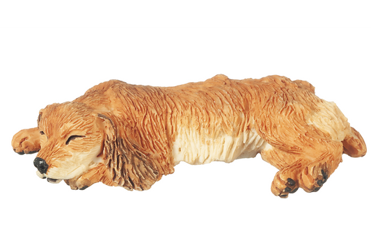 Cocker Spaniel (Buff), Sleeping