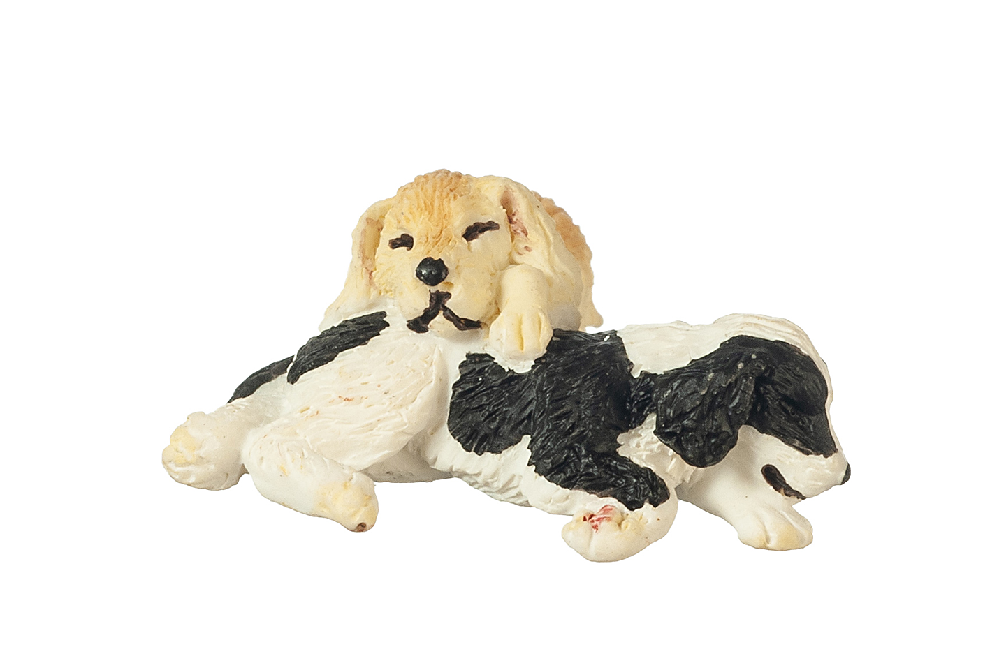 Golden and Black & White Puppies, Sleeping
