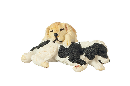 Golden and Black & White Puppies, Sleeping