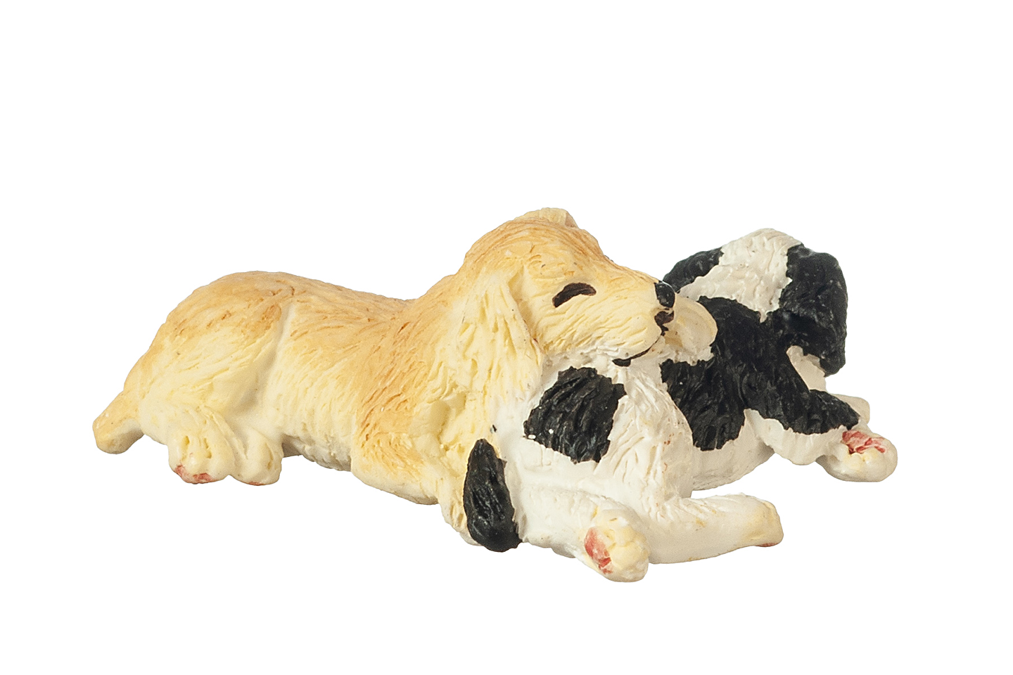 Golden and Black & White Puppies, Sleeping