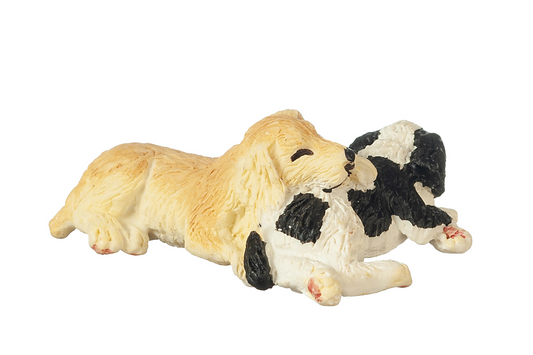 Golden and Black & White Puppies, Sleeping