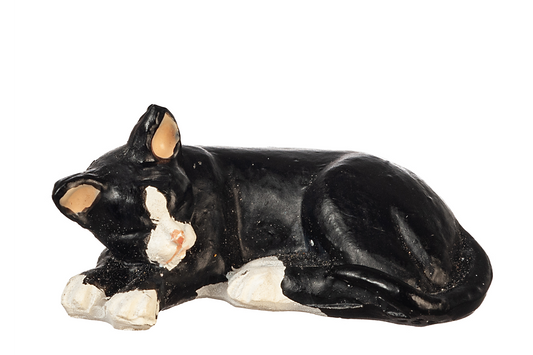 Tuxedo Cat, Laying