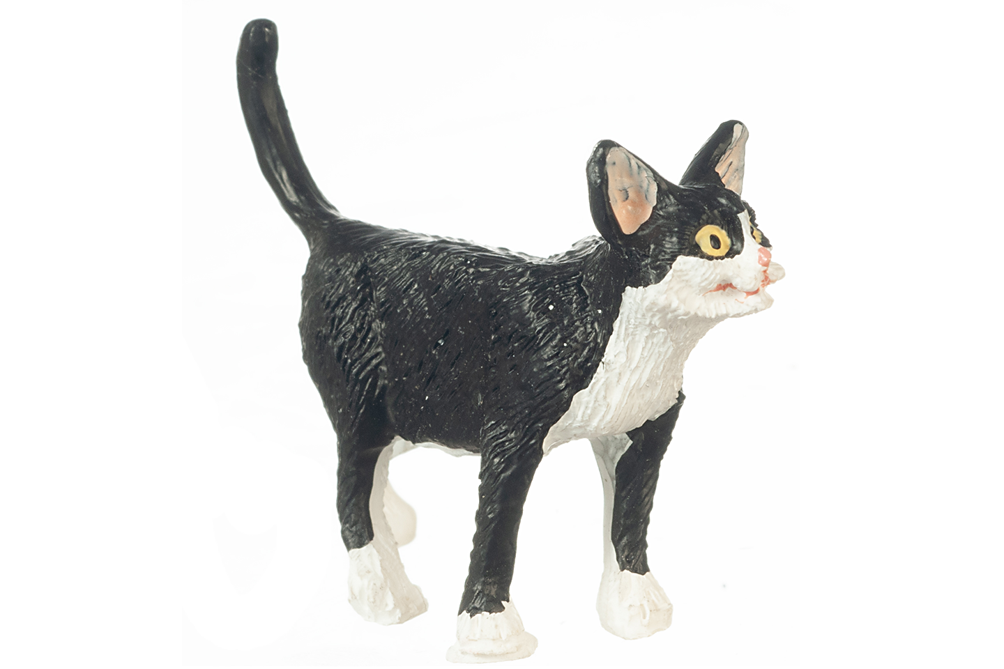 Black and white tuxedo cat with white paws, standing curiously with its ears and tail upright, on a white background