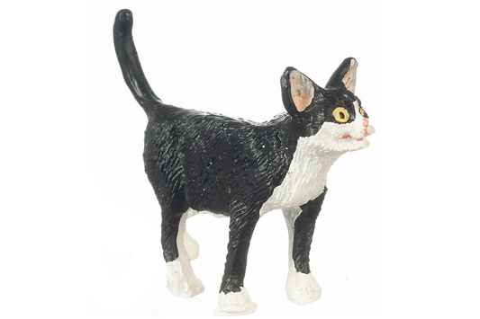Black and white tuxedo cat with white paws, standing curiously with its ears and tail upright, on a white background