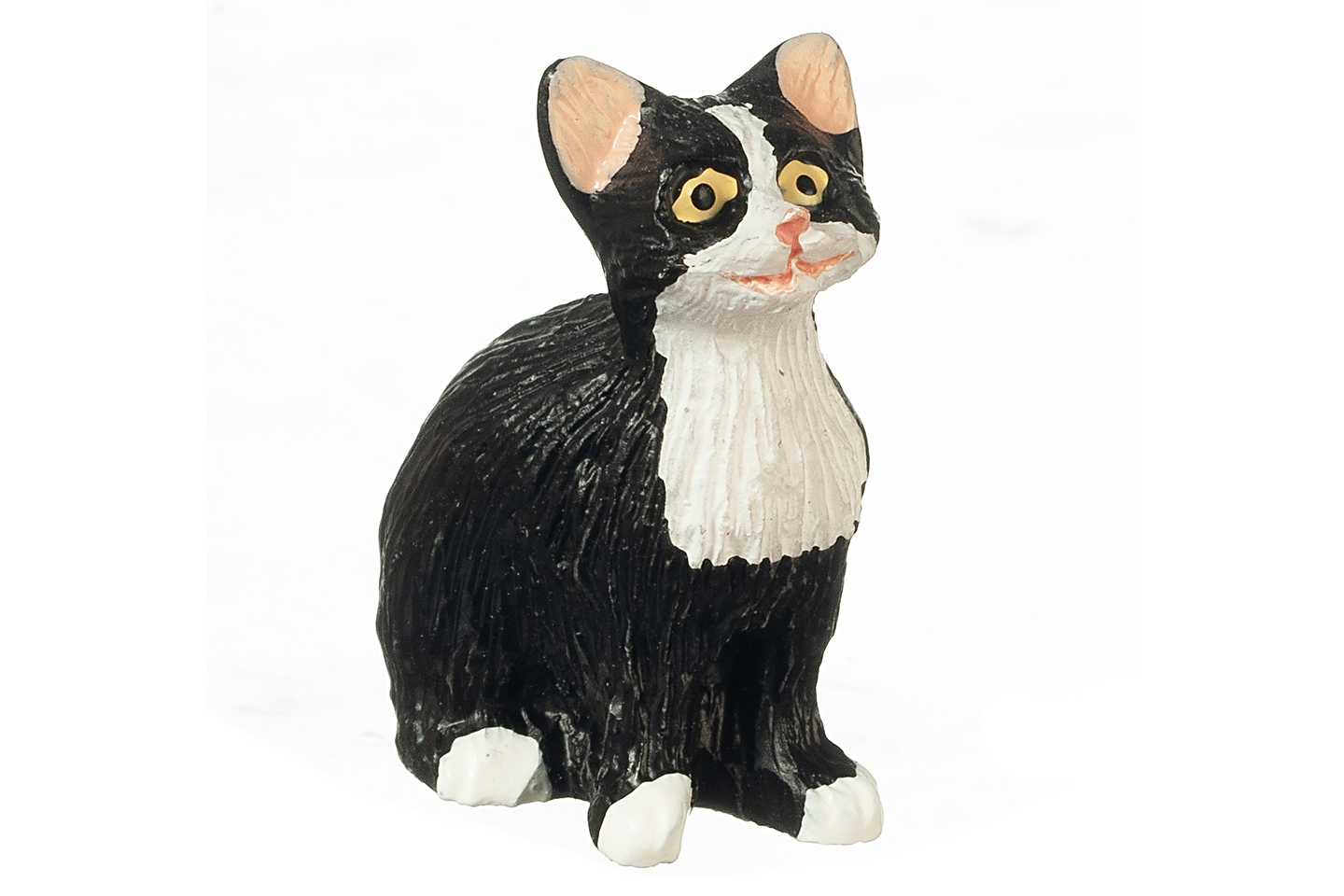 Tuxedo Cat, Sitting