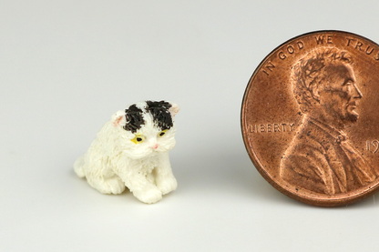 Sitting Black & White Persian Kitten
