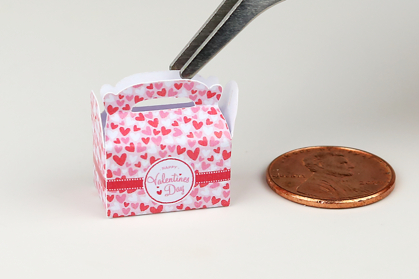 Valentine’s Day Treat Box