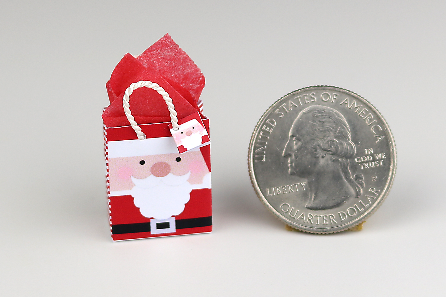 Sweet Santa Claus Gift Bag