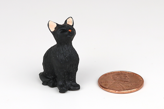 Sitting Black Cat with Eyes Closed