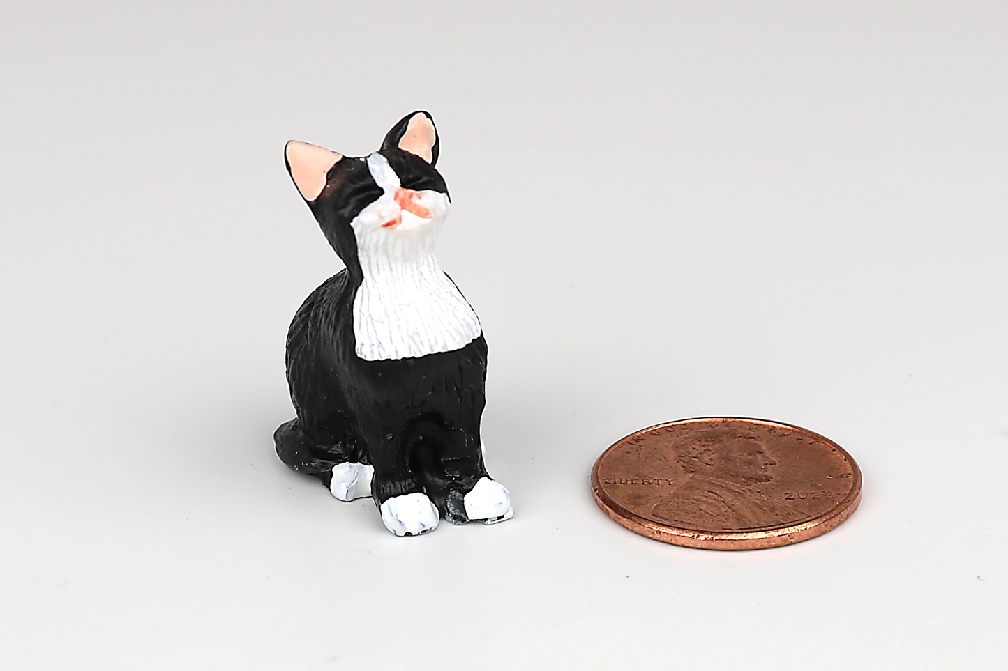 Sitting Tuxedo Cat with Eyes Closed