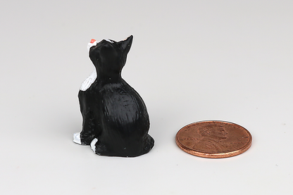Sitting Tuxedo Cat with Eyes Closed