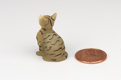 Sitting Tabby Cat with Eyes Closed