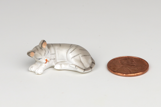 Sleeping Gray Tabby Cat