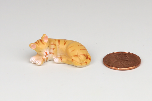 Sleeping Orange Cat