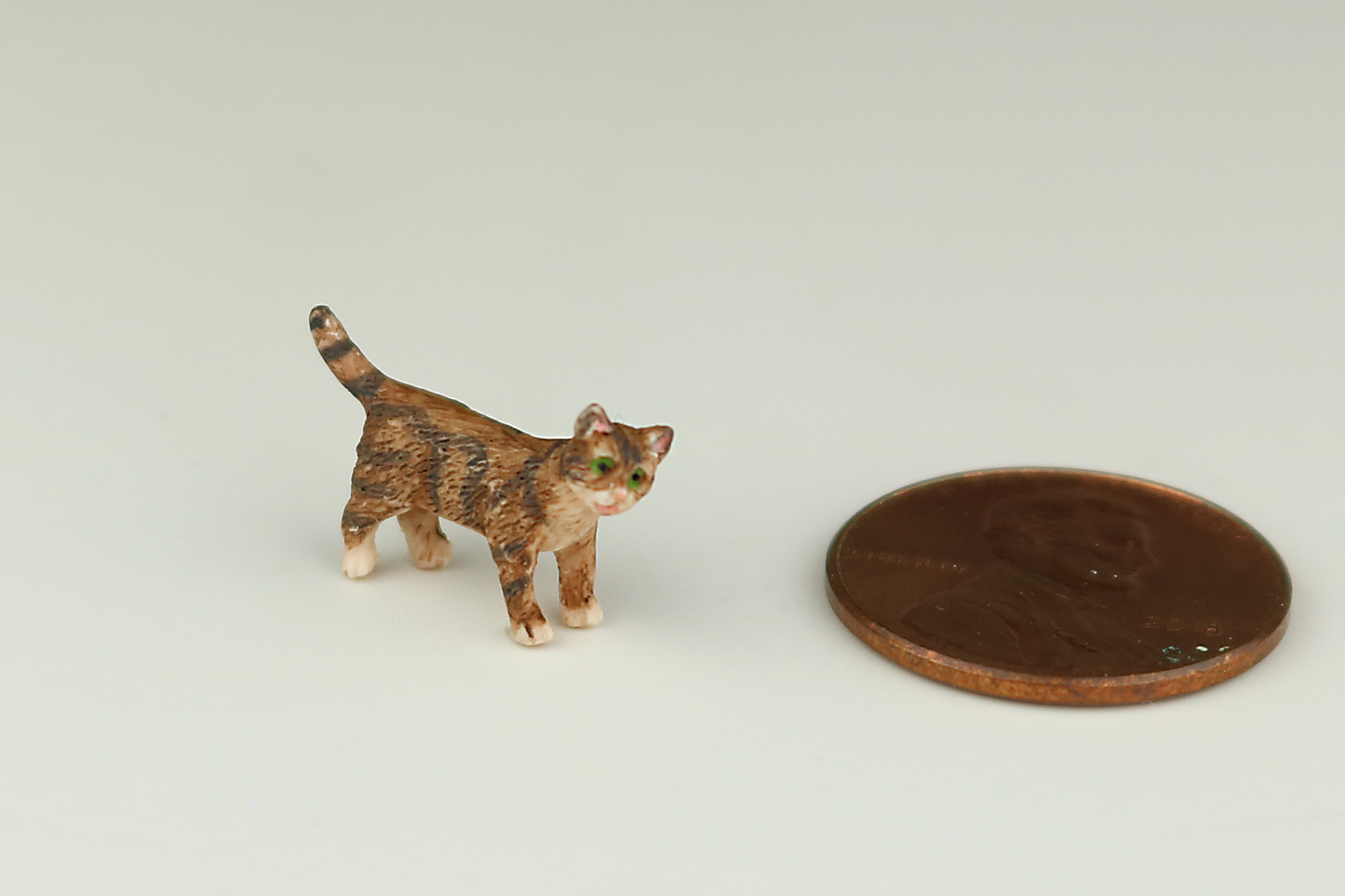Standing Tortoiseshell Kitten