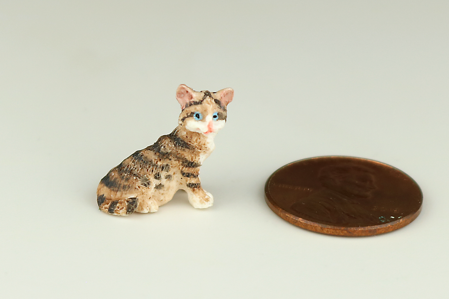 Tortoiseshell Kitten