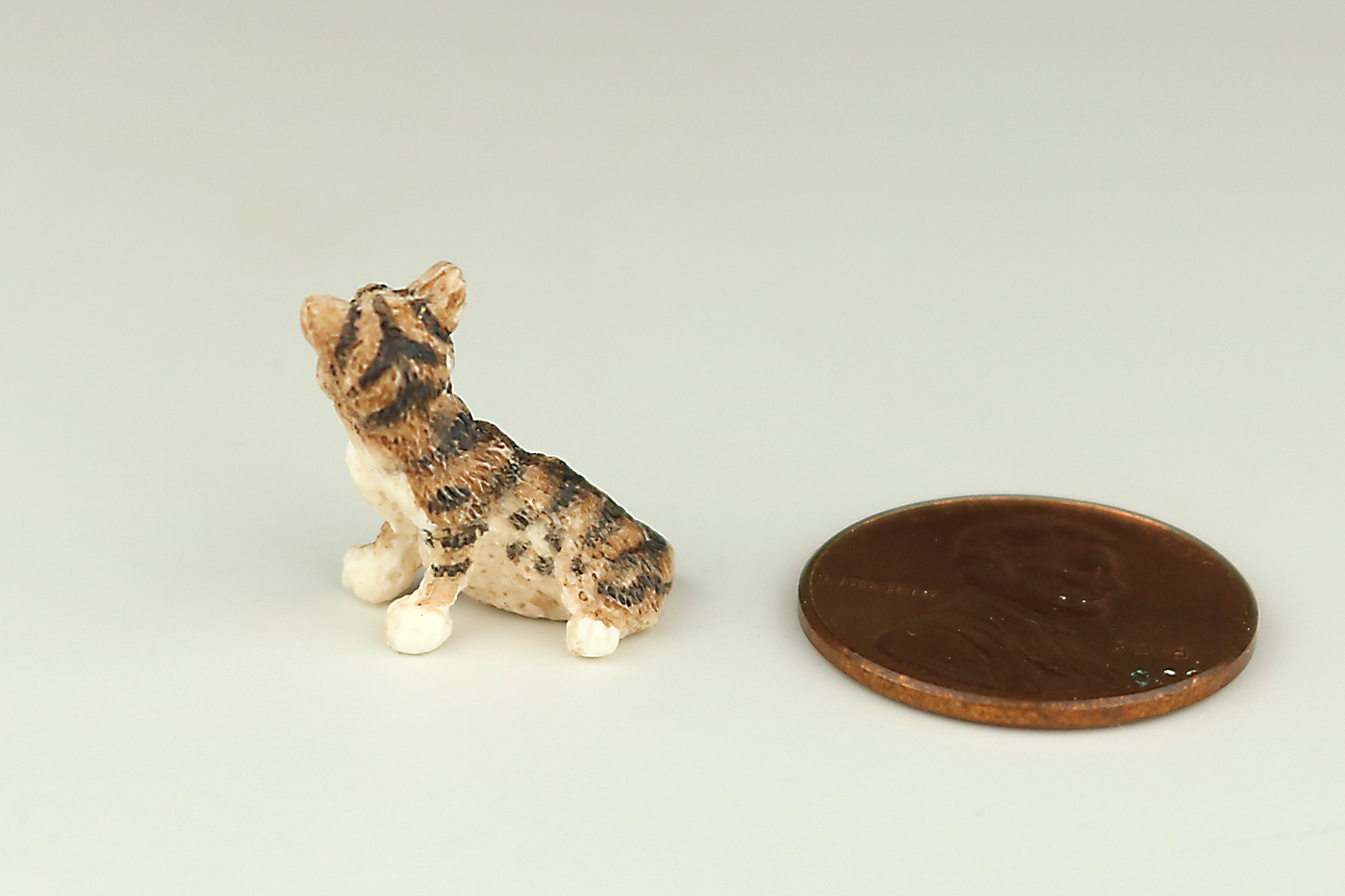 Tortoiseshell Kitten