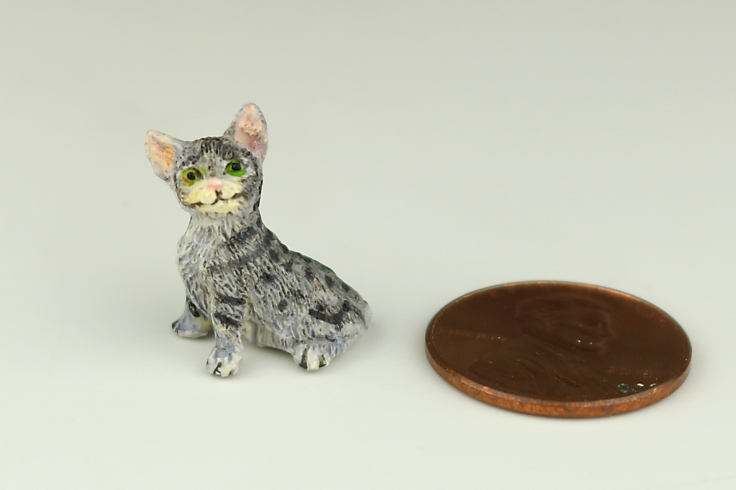 Gray Tabby Kitten