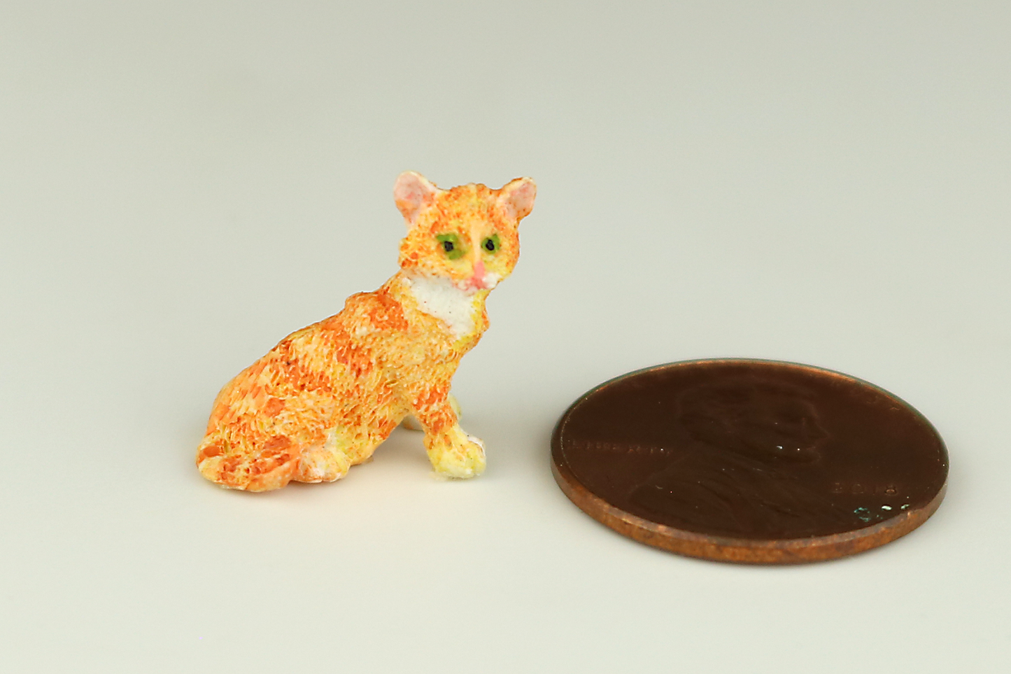 Orange Tabby Kitten