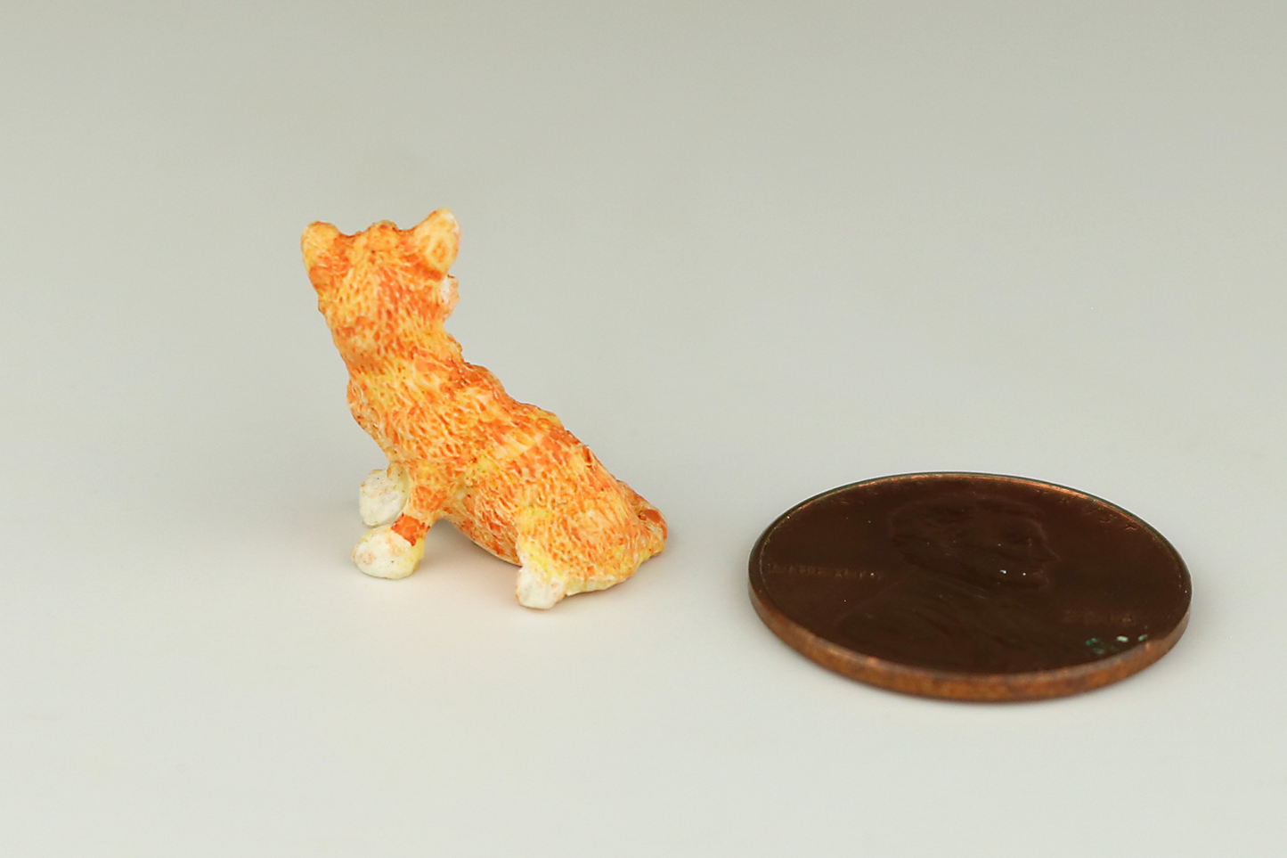 Orange Tabby Kitten