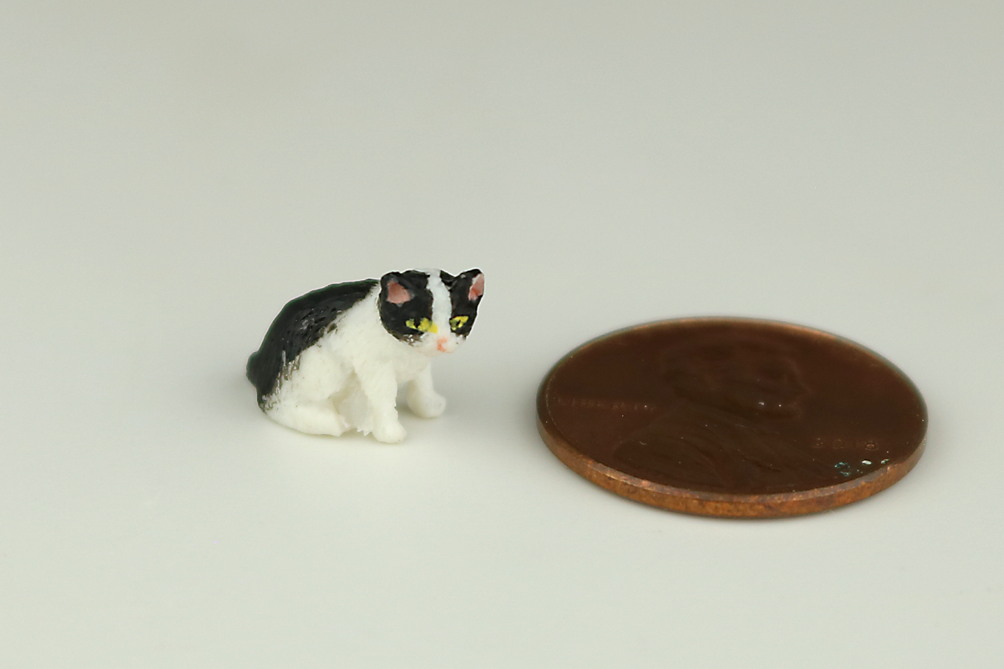 Sitting Tuxedo Kitten