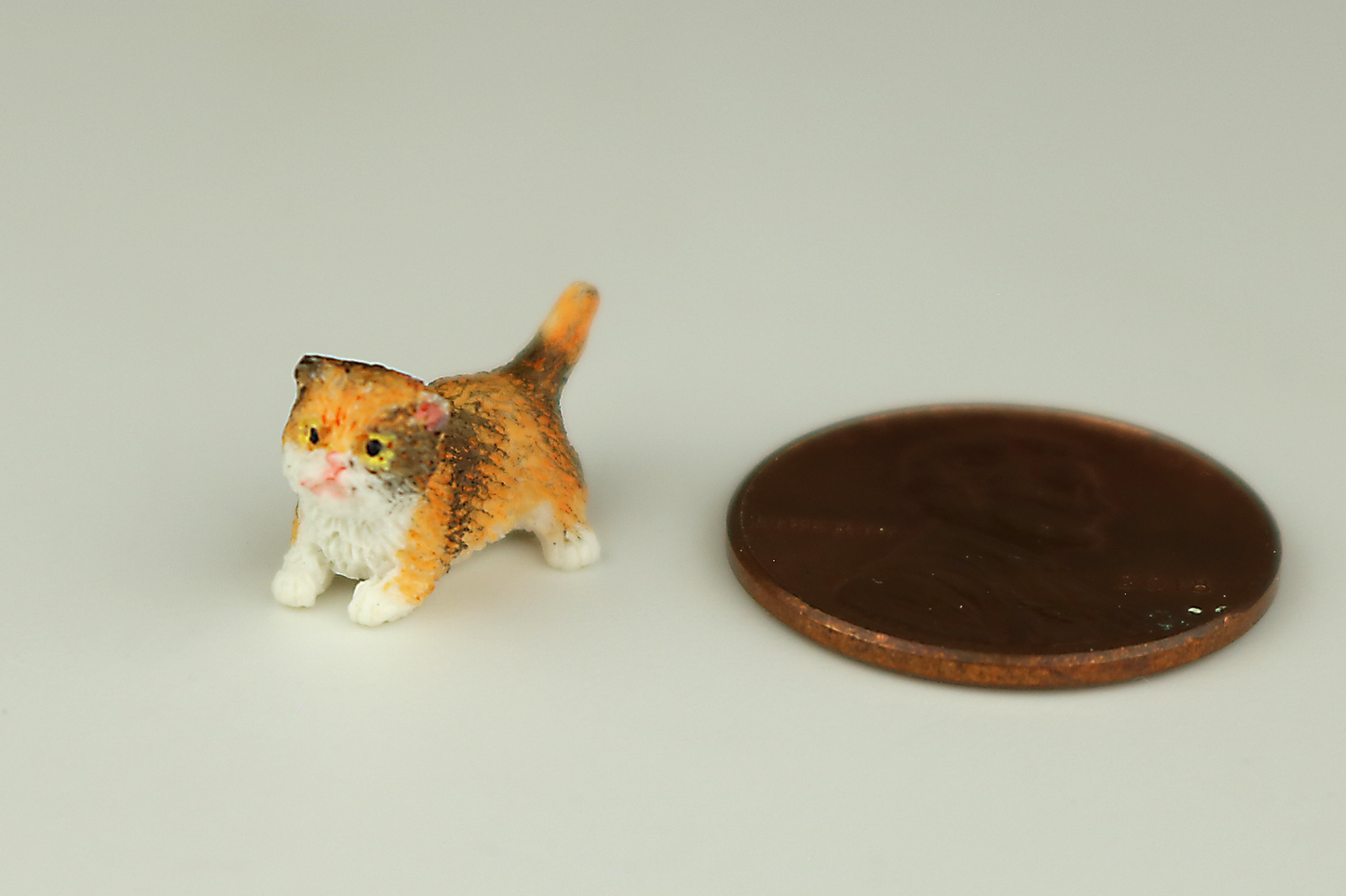 Crouching Calico Kitten
