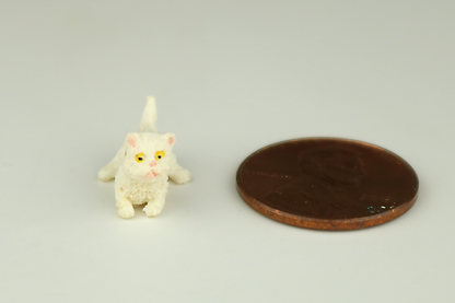 Crouching White Kitten