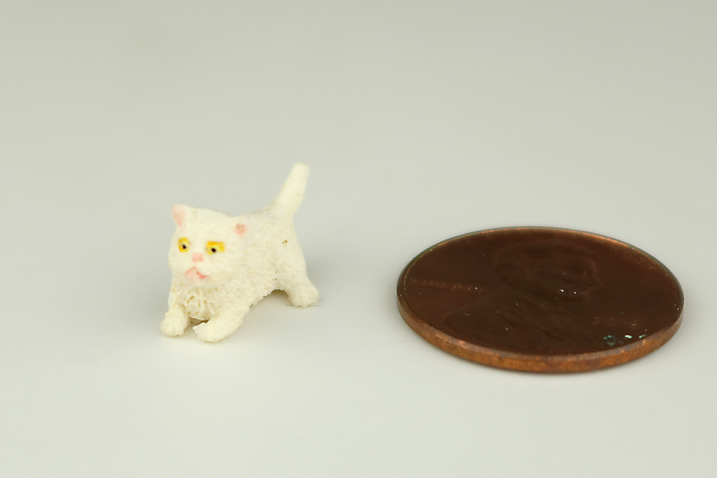 Crouching White Kitten