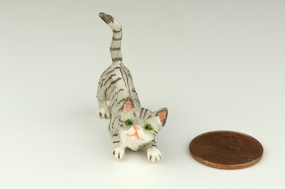 Curious Gray Tabby Cat