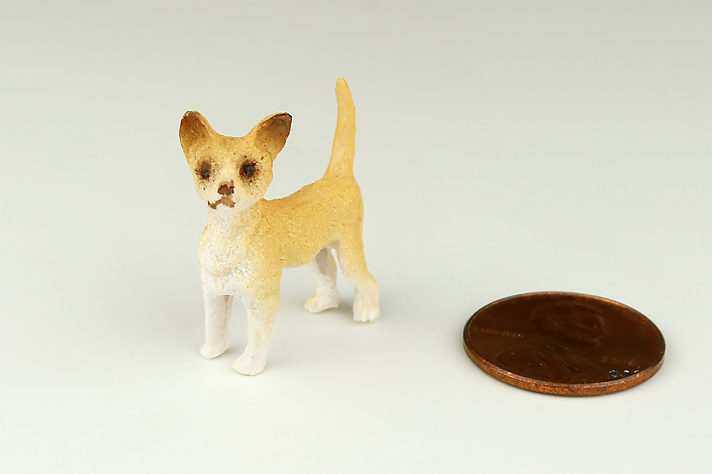 Chihuaha