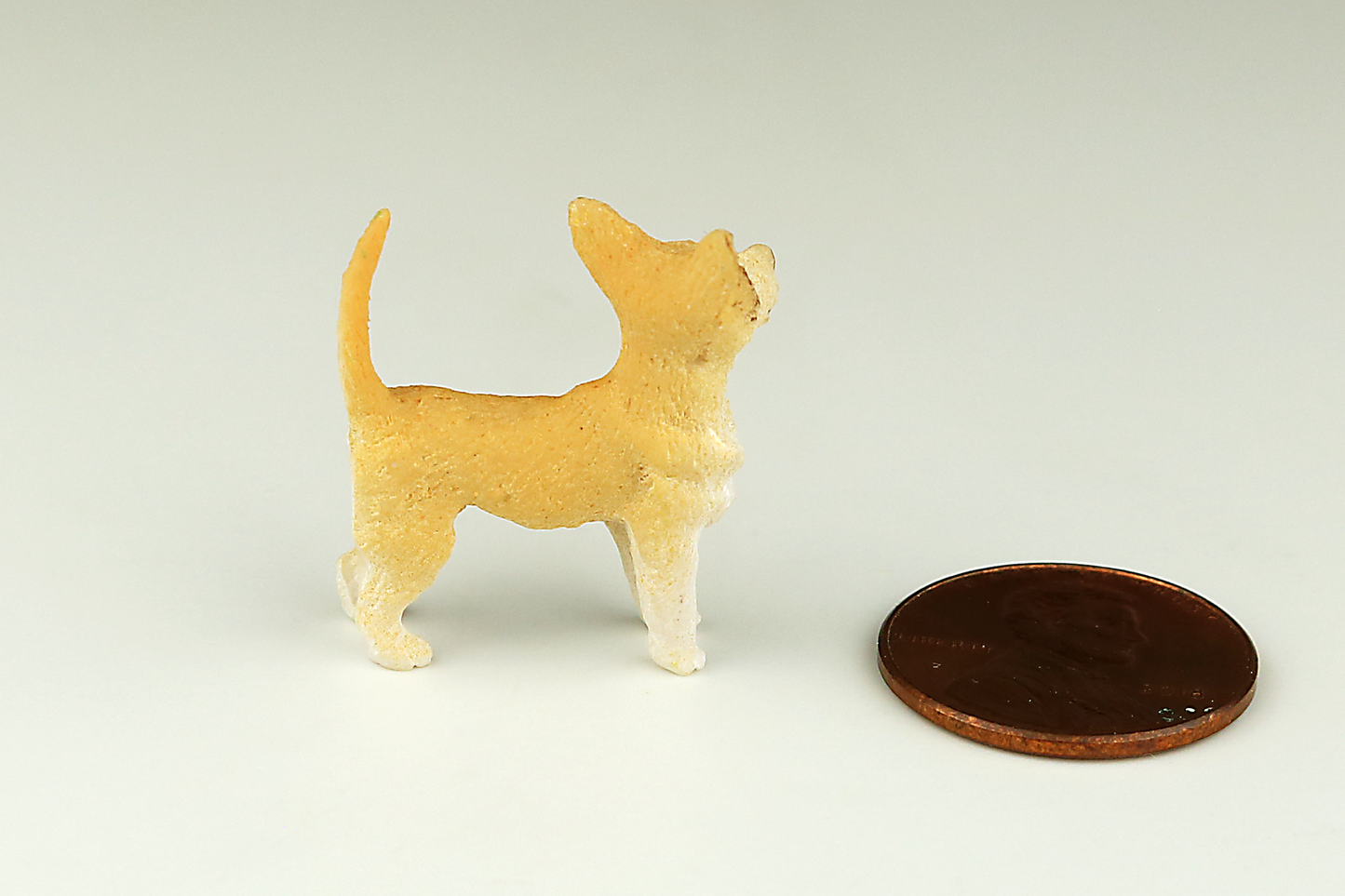 Chihuaha