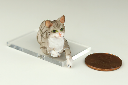 Lounging Gray Tabby Cat