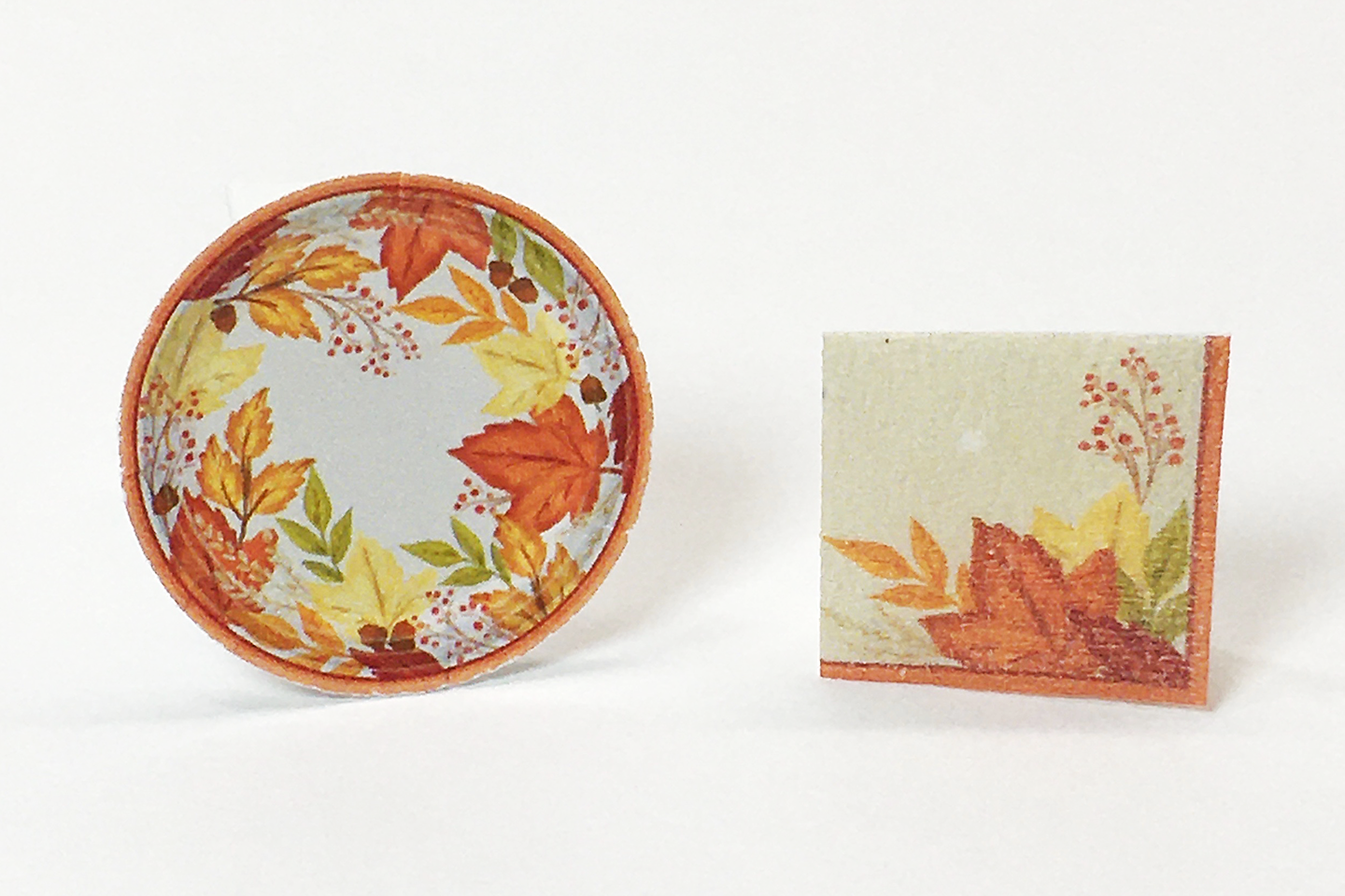 Autumn Leaves Paper Plates & Napkins Set