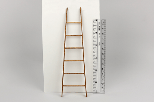 Old Fashioned Ladder