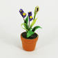 Purple Orchid - 1